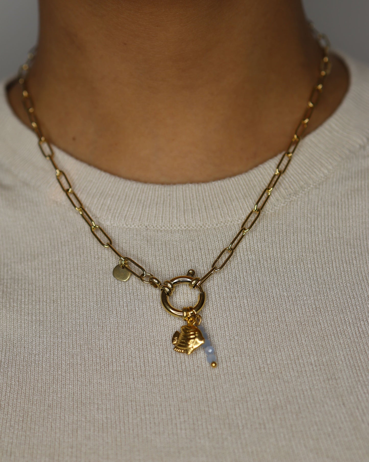 Charm Poisson