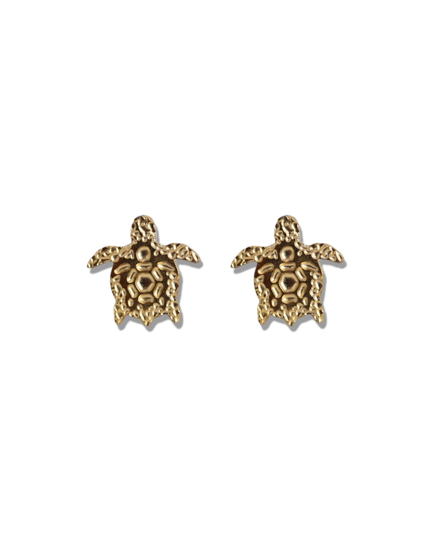Puces d'oreilles Tortue