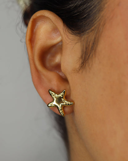 Starly earrings