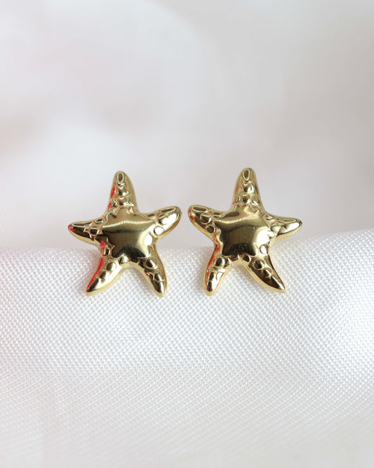 Boucles d'oreilles Starly