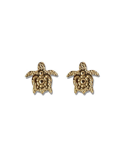 Puces d'oreilles Tortue
